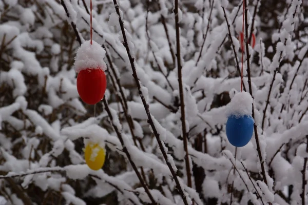 Karda paskalya yumurtaları
