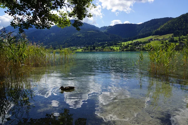 Weissensee