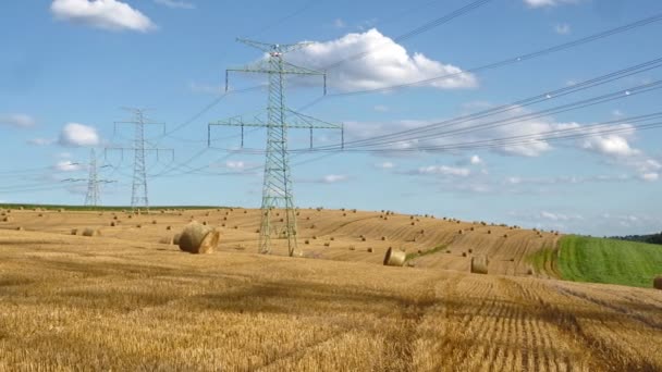 Straw Bales Field High Electricity Pylons — Stock Video