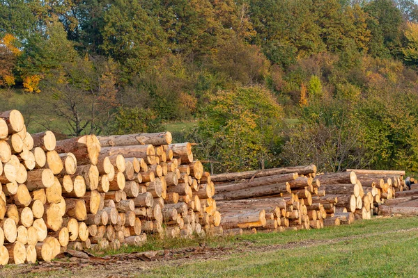 一堆木柴 一堆堆巨大的原木 — 图库照片