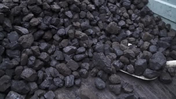 Shovel Coal Pile Brown Coal Shovel — Stock Video