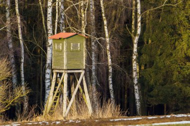 Ormanda ve çayırda avlanmak için tahta gözetleme kulesi.