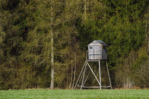 Ormanda Çayırda Avlanmak Için Tahta Gözetleme Kulesi — Stok fotoğraf