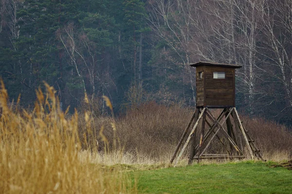 Houten Uitkijktoren Voor Jacht Het Bos Weide — Stockfoto