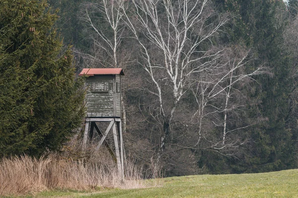 Torre Avvistamento Legno Caccia Nel Bosco Sul Prato — Foto Stock