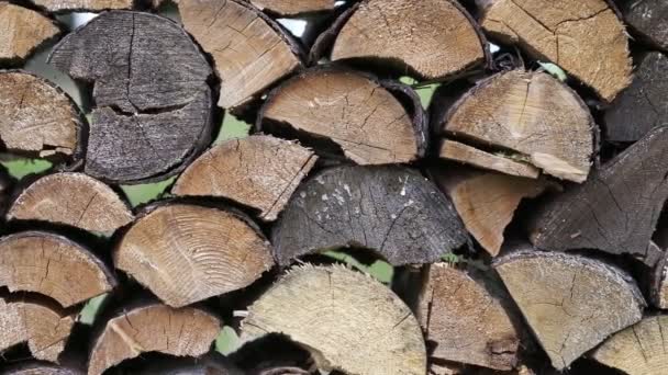Kış Için Hazırlanmış Odun Yığını Ladin Ağacı — Stok video