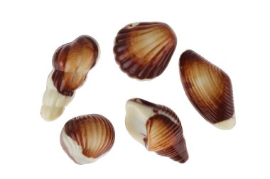 gemengde stukjes chocolade zeeschelp snoepjes