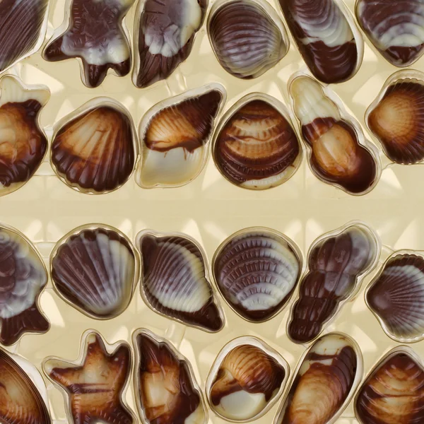 Mixed pieces of chocolate seashell candies — Stock Photo, Image