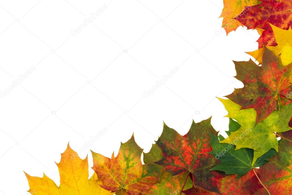 Autumn backdrop - frame composed of colorful autumn leaves over white 