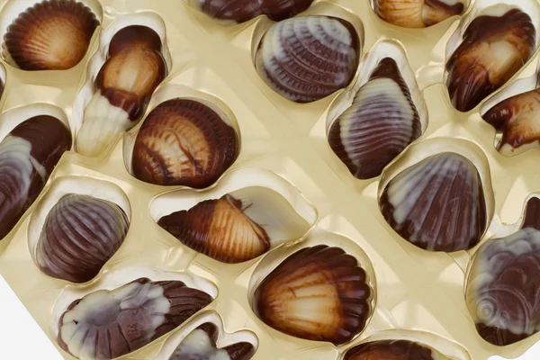 Mixed pieces of chocolate seashell candies — Stock Photo, Image