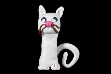 Siyah arka planda beyaz kedi