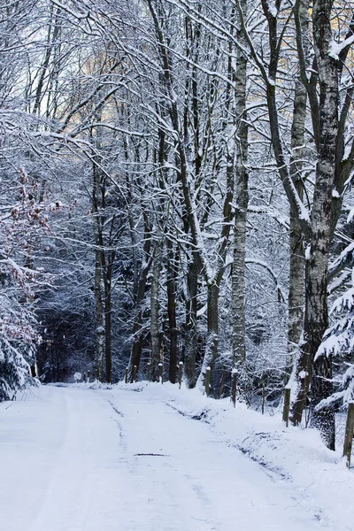 Strada invernale fredda e innevata — Foto Stock