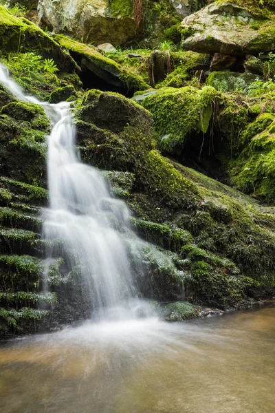 Waterfall from ravine — Stock Photo, Image