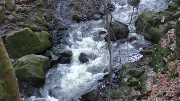 Wilder Fluss mit moosbewachsenen Felsen — Stockvideo