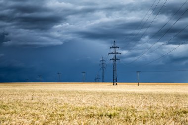 Bir buğday alan ve elektrik direkleri üzerinde büyük görebilsin 