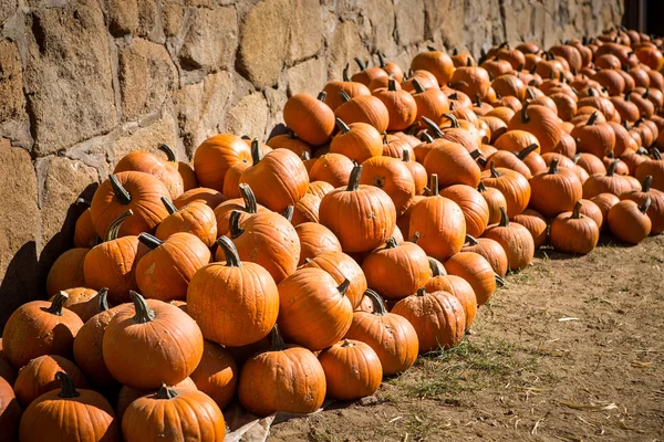 Citrouilles empilées contre un mur de pierre rustique — Photo