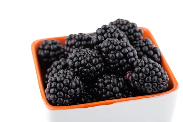 在碗中的新鲜黑莓 — 图库照片