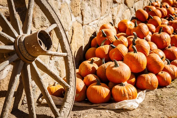 Citrouilles empilées contre un mur de pierre rustique — Photo