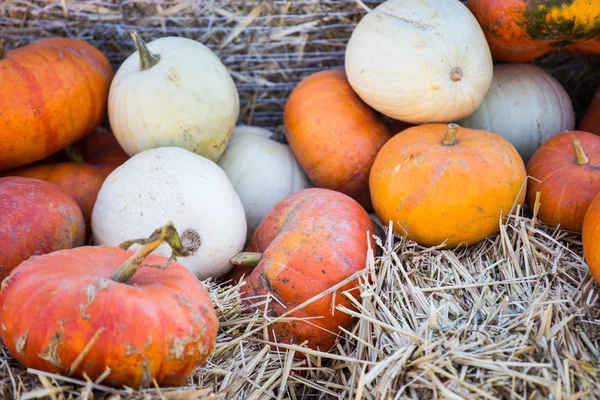 Stapel van kleine pumpkins op de boerenmarkt. — Stockfoto