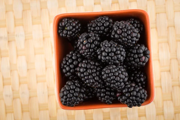 在碗中的新鲜黑莓 — 图库照片