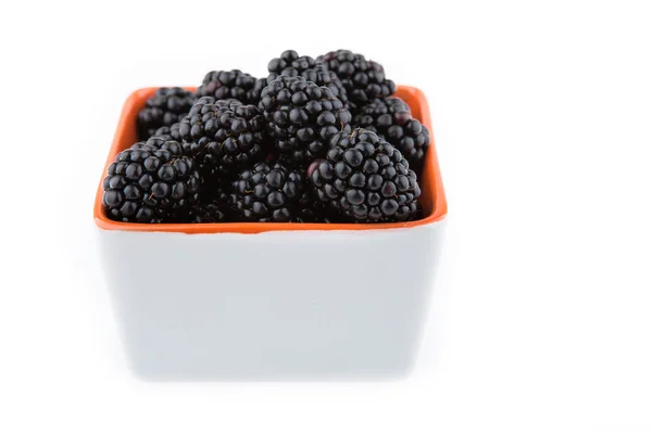 Fresh blackberries in bowl — Stock Photo, Image