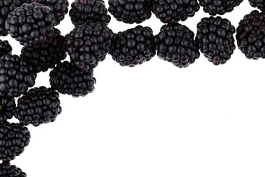 Blackberry beyaz arkaplanda izole edildi