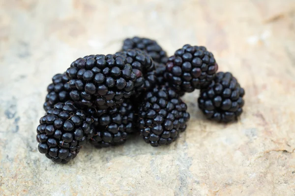 水果-新鲜黑莓 — 图库照片
