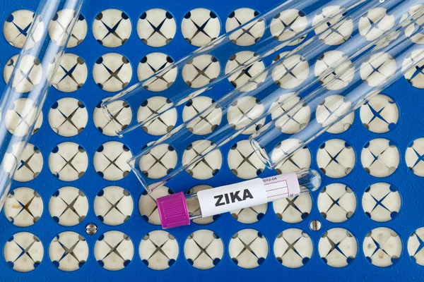 Концепт-фото вируса Зика с пробиркой — стоковое фото