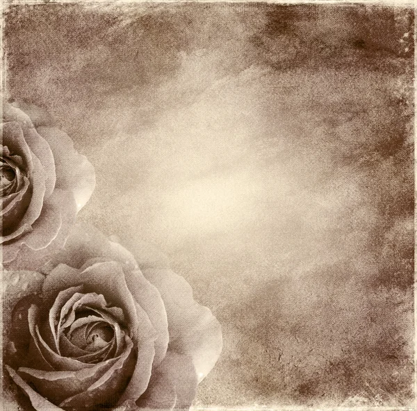 バラで用紙の背景 — ストック写真