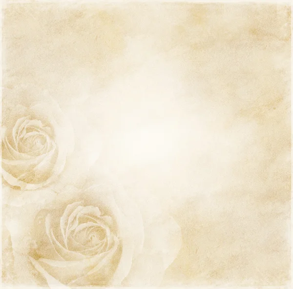 Fond en papier avec des roses — Photo
