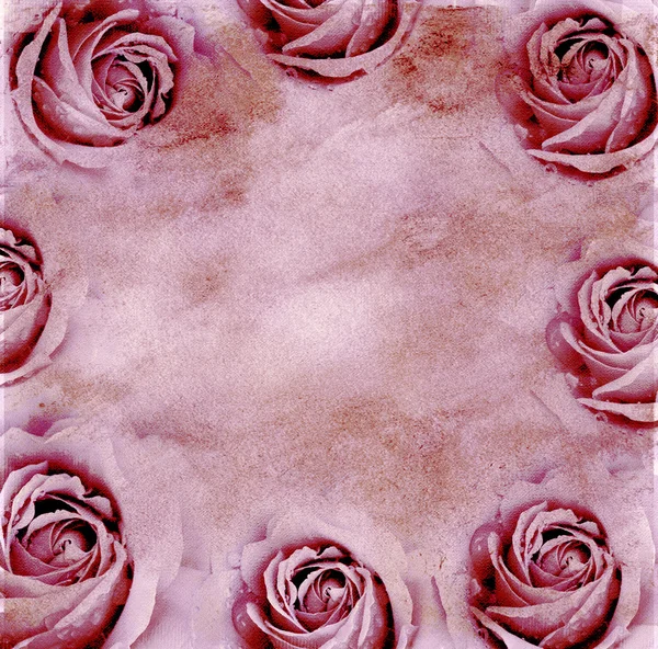 Paper background with roses — Stock Photo, Image