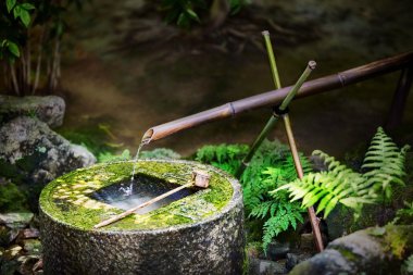 Geleneksel Japon bambu çeşme Ryoan-ji Tapınağı: Kyoto, Japan