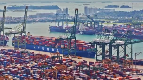 Calendário do porto de Singapura, UHD 4K — Vídeo de Stock