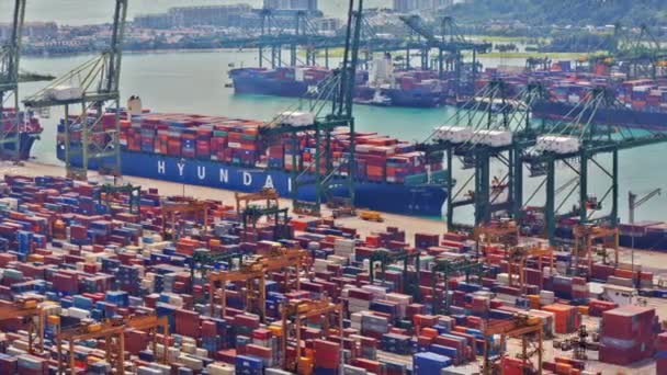Время в порту Сингапура, UHD 4K — стоковое видео