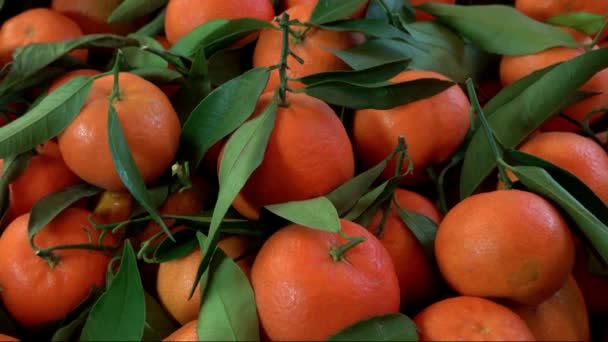 Bovenaanzicht Van Roterend Mandarijn Oranje Met Bladeren Clementines Houten Kist — Stockvideo