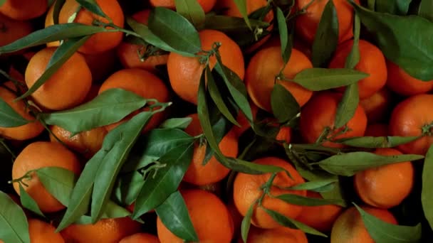 Bovenaanzicht Van Roterend Mandarijn Oranje Met Bladeren Clementines Houten Kist — Stockvideo