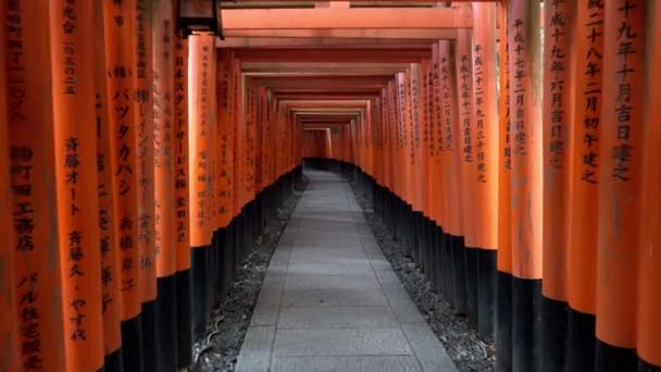 Caminando dentro de Fushimi Inari Taisha, un santuario sintoísta en Kyoto, Japón. — Vídeos de Stock