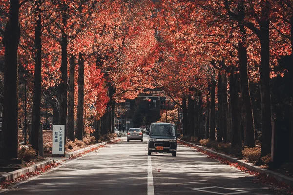 Carros dirigindo ao longo da rua através do colorido bordo de outono beco da árvore, Kanazawa, Japão — Fotografia de Stock