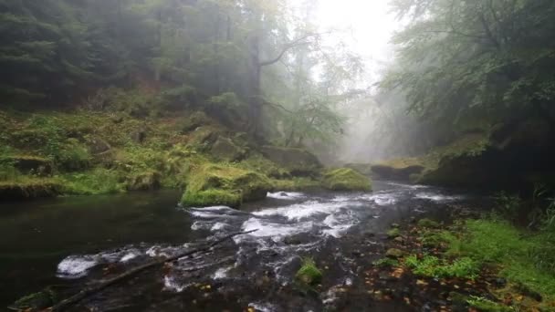 Kamenice河在雾蒙蒙的秋日，波希米亚瑞士，捷克共和国 — 图库视频影像