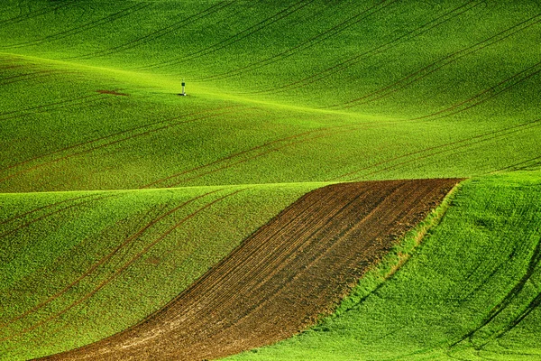 Vonalak és a hullámok mezők — Stock Fotó