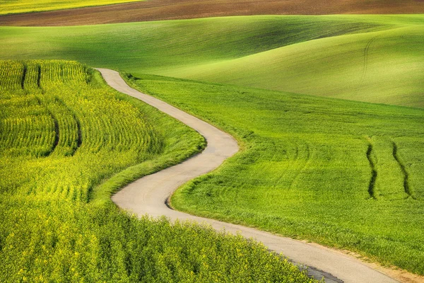 Vägen i grönt fält vågor — Stockfoto