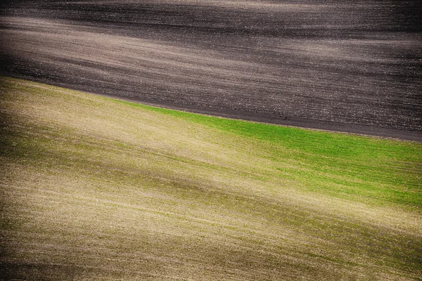 Grunge campo onde sfondo, Moravia meridionale — Foto Stock