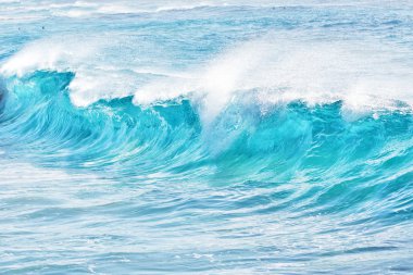 Sandy Beach, Hawaii 'de turkuaz dalgalar