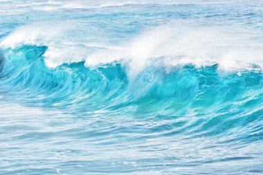 turquoise waves at Sandy Beach, Hawaii clipart