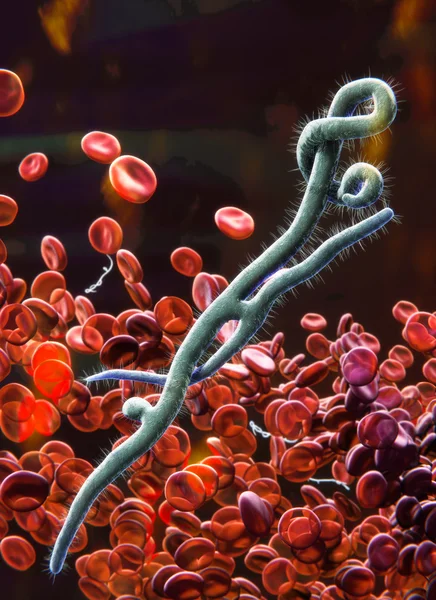 Ebola-virus i blod — Stockfoto