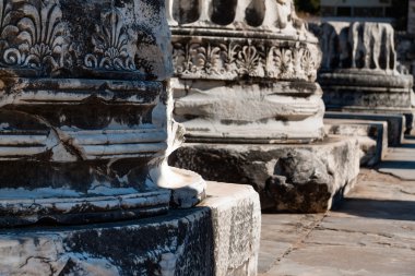 Didim, Türkiye'de Apollon Tapınağı frizleri