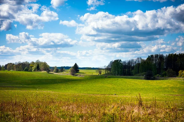 Campo de grama verde, Masúria — Fotografia de Stock