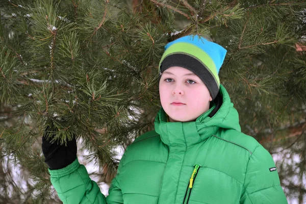 Boy teenager in  green jacket at  winter pine forest — Stock Photo, Image