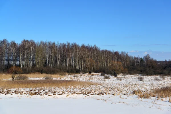 Costa do Reservatório de Ivankovskoye na região de Tver, Rússia — Fotografia de Stock