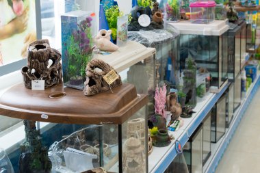 Moscow, Russia - April 16.2016. Decorations for aquarium in Four paws pet store clipart
